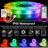 ریسه ال ای دی مدل As plus RGB44 key طول 5 متر